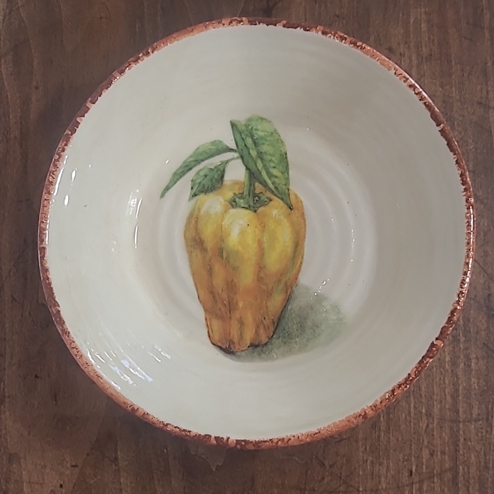 EUC Williams Sonoma Jardin Potager Tomatoes 9" Pasta Bowl